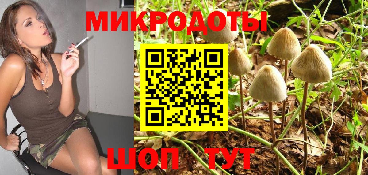 Псилоцибиновые грибы прущие грибы Гусь-Хрустальный
