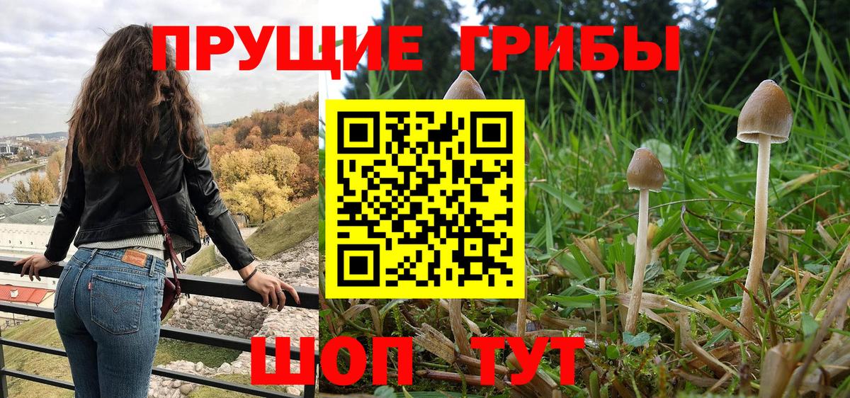 Гусь-Хрустальный  как найти закладки  Вход с VPN  Псилоцибиновые грибы Cubensis 