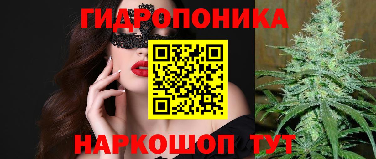 Гусь-Хрустальный  Канабис семена  Марихуана MAZAR  Канабис Ganja  Вход с VPN 
